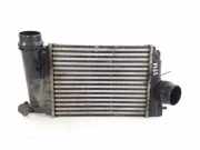 Ladeluftkühler RENAULT KADJAR (HA_, HL_) 1.5 dCi 110 144614EA1A