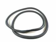 Türdichtung Audi A3 Cabriolet (8V) 8V4833721B