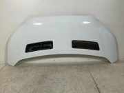 Motorhaube FORD TRANSIT 2.0 TDCi 2485550