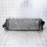 Ladeluftkühler RENAULT TRAFIC II Minibus / passenger (JL) 2.0 dCi 115 (JL0H) 988650B 93854162