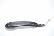 Türaußengriff hinten links BMW 5 (G30) M 550 d xDrive 9491461