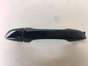 Türaußengriff hinten links VW GOLF SPORTSVAN (AM1) 2.0 TDI