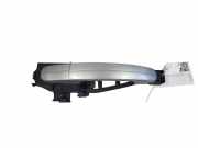 Türaußengriff links FORD C-MAX II (DXA/CB7, DXA/CEU) 2.0 TDCi R224A37AC