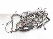 Kabelbaum CITROËN C5 II Break (RE_) 2.2 HDi 9660452499 450950602