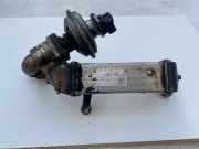 AGR-Kühler BMW 3 (E90) 320 d 11717801942