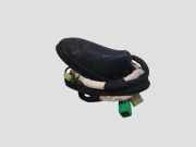 Antenne CITROËN C5 III (RD_) 1.6 HDi 110 9665130480
