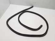 Türdichtung Dacia Logan II () 908307561R