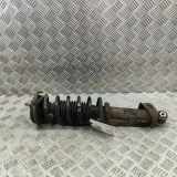 Stoßdämpfer hinten links PORSCHE 911 (996) 3.6 Carrera 4 99633353123 99633305903