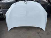 Motorhaube RENAULT MEGANE III Coupe (DZ0/1_) 1.6 dCi (DZ00)