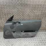 Türpolster vorne rechts PORSCHE 911 (997) 3.6 Carrera 4 987555102