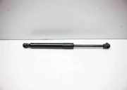 Heckklappe Gasdruckfeder links