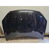 Motorhaube NISSAN QASHQAI / QASHQAI +2 I (J10, JJ10) 2.0
