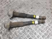 Stoßdämpfer hinten links LEXUS UX (_AA1_, _AH1_, _MA1_) 250h (MZAH10) 4853076180