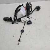 Türverkabelung hinten links VOLVO V70 III (BW) 2.4 D 30724279
