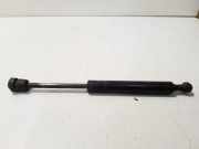 Heckklappe Gasdruckfeder links VW GOLF III (1H1) 1.9 TDI 1H5827550A