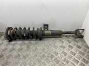 Stoßdämpfer vorne links