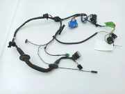 Türverkabelung hinten rechts JAGUAR XJ (X308) 4.0 LNF3190DB