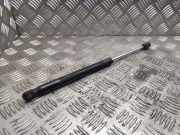 Gasfeder für Motorhaube Peugeot 407 ()