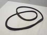 Türdichtung Porsche Panamera 1 (970)