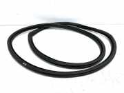 Türgummi links vorne Peugeot 308 I SW () 9677519680