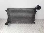 Ladeluftkühler AUDI A3 Sportback (8PA) 1.9 TDI 0281002399 1K0145803F