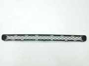 Gitter vorne unten TOYOTA RAV 4 III (_A3_) 2.2 D 4WD (ALA30_) 5311242040