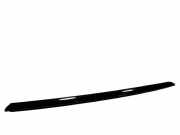 Zierleiste Windschutzscheibe Frontscheibe CITROËN DS5 1.6 HDi 115 9687247980
