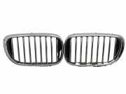 Vorderer oberer Gitter BMW 7 (G11, G12) 740 i, Li 7357015
