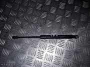 Gasfeder für Motorhaube Audi TT Roadster (8J) 8J0823359C