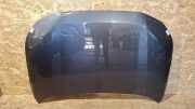 Motorhaube TOYOTA RAV 4 V (A5, H5) 2.5 Hybrid AWD (AXAP54) C00128
