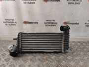 Ladeluftkühler Ford Transit Connect V408 Kasten () FCC7A