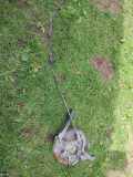 Nabe hinten rechts VOLVO S80 I (TS, XY) 2.4 P30666403