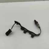 Sauerstoffsensor (Lambdasensor) BMW X5 (G05) (G05, F95) 9500617