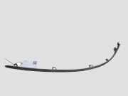 Front Bumper Center Moulding JAGUAR S-TYPE (X200) 2.7 D 4R8317C753BB