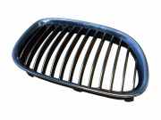 Vorderer oberer Gitter BMW 7 (F01, F02) 730 d 10627110