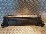 Ladeluftkühler Mercedes-Benz R-Klasse (W251) 2515000000