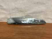 Armaturenbrett Verkleidung BMW X6 (F16, F86) xDrive 30 d 51767347516