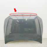 Motorhaube VW PASSAT Variant B8 (3G5) 2.0 TDI 3G0823031C