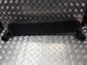 Ladeluftkühler Renault Laguna II (G) 8200292773