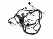 Türverkabelung hinten links BMW 5 (G30) M 550 i xDrive 11107810 B286604