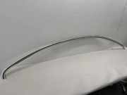 Dachleiste links VW PASSAT CC (357) 2.0 TDI