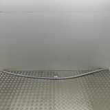 Dachleiste links BMW 7 (G11, G12) 730 d 7357275