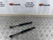 Gasfeder für Motorhaube Kia Sorento II (XM) 81161C5000