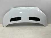 Motorhaube FORD TRANSIT 2.0 TDCi TKK31-A16612-AA
