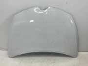 Motorhaube RENAULT CLIO IV Furgon 0.9 TCe 90 651009833R