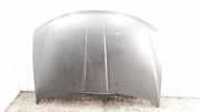 Motorhaube FIAT FREEMONT (345_) 2.0 JTD