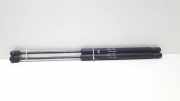 Heckklappe Gasdruckfeder links FIAT BRAVO I (182_) 1.6 16V (182.AB) 7529LY0320N
