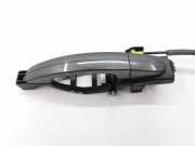 Türaußengriff hinten links FORD C-MAX II (DXA/CB7, DXA/CEU) 1.5 TDCi 3M51R224A37