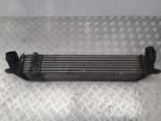 Ladeluftkühler Renault Laguna III (T) 144960001R