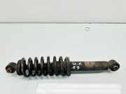 Stoßdämpfer hinten links CITROËN C5 II Break (RE_) 1.6 HDi (RE8HZB)